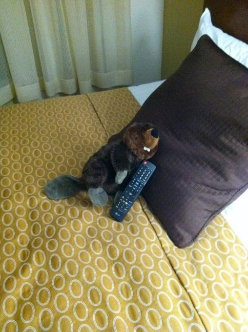beaver_480_hotel.jpg