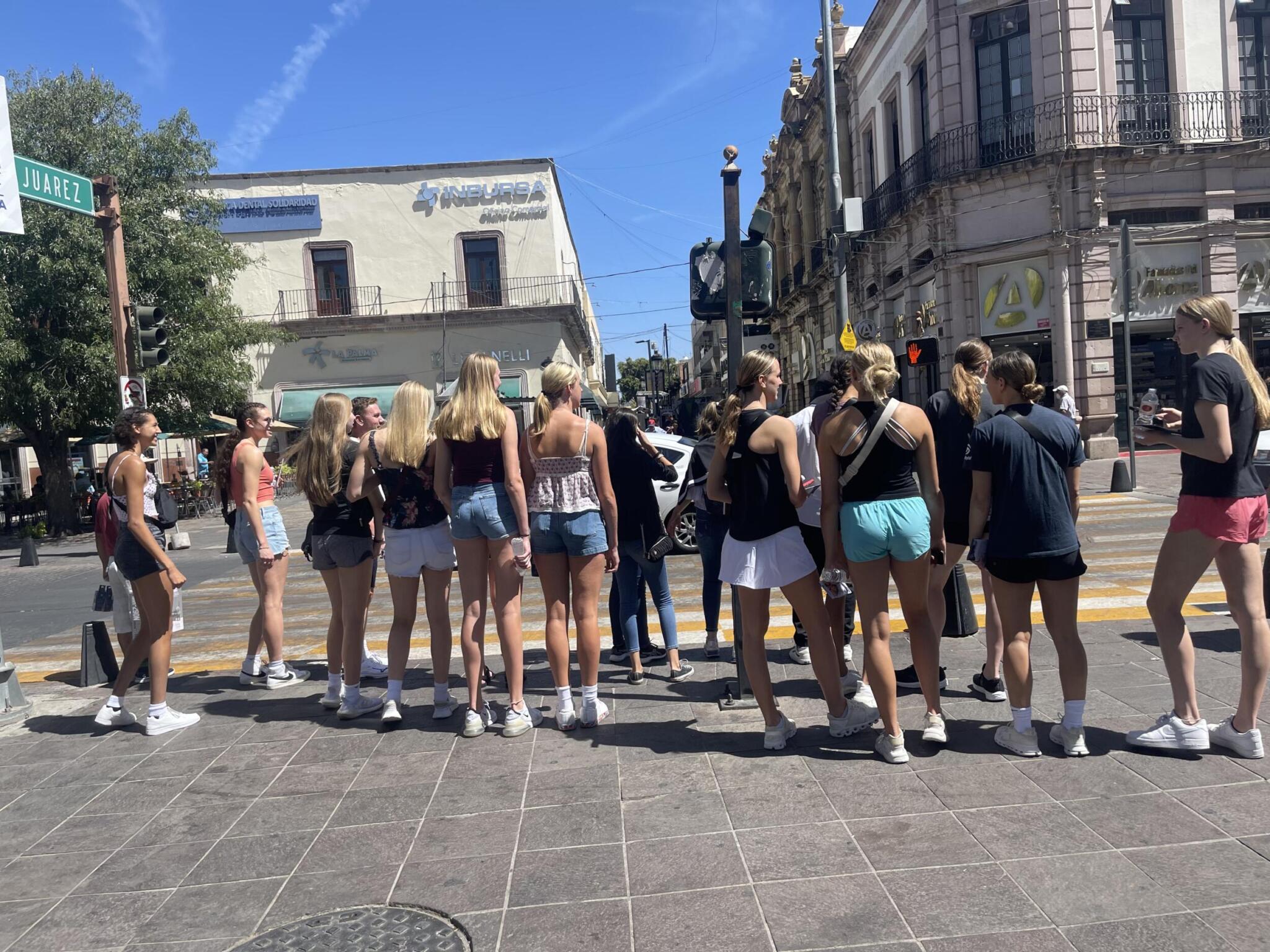 Vanderbilt Volleyball Represented Abroad